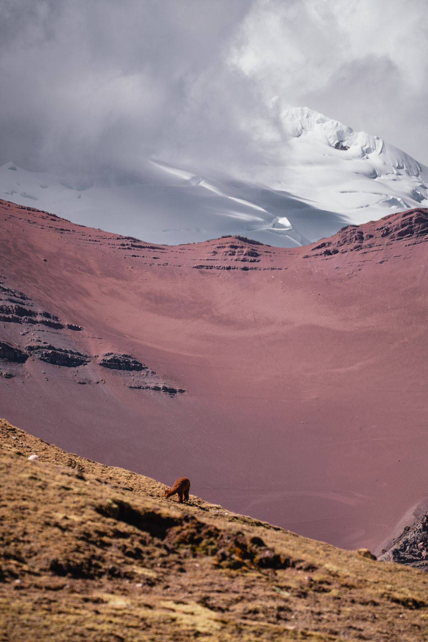 Desert mountain colors