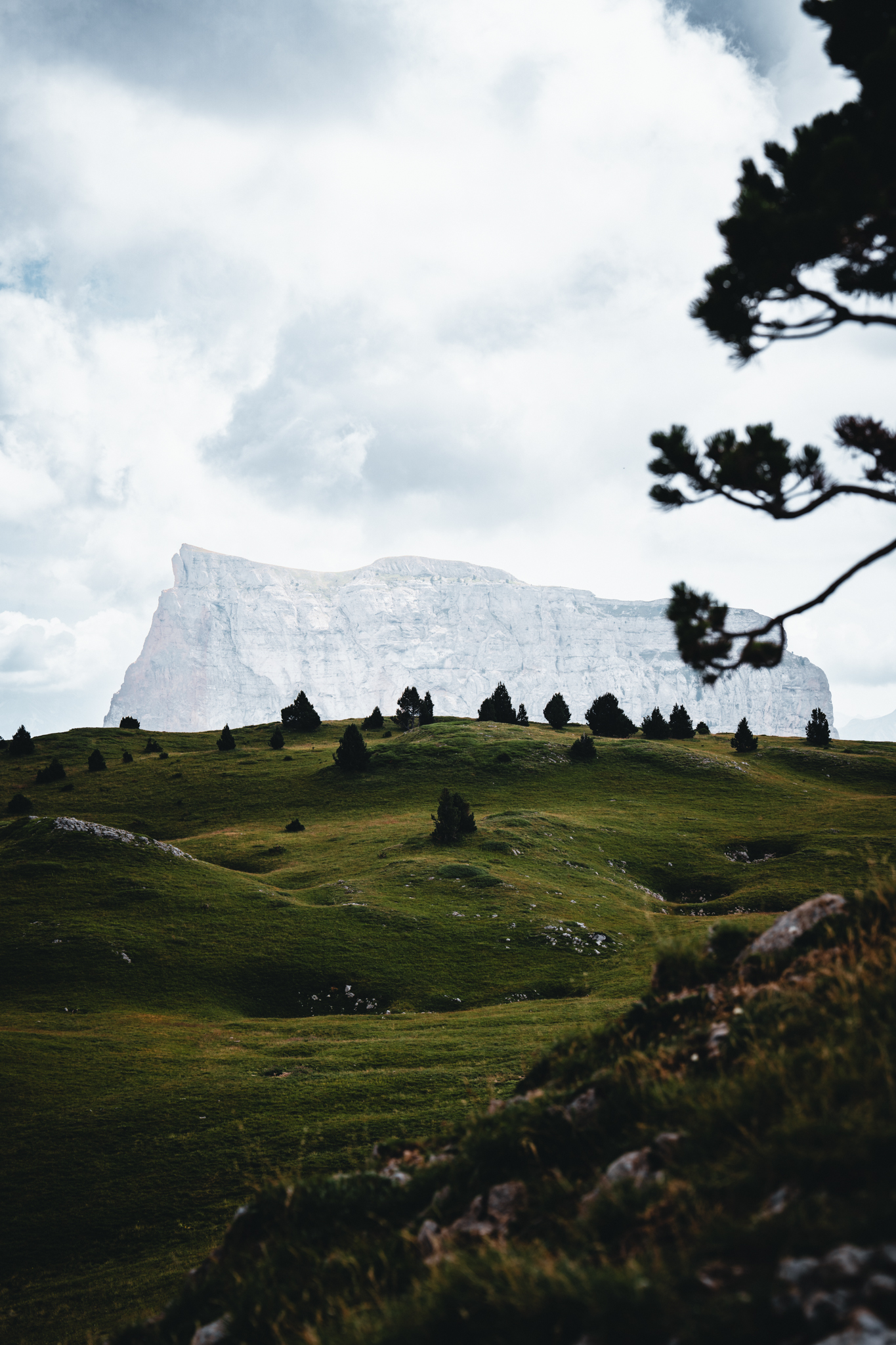 Mountain pastures and clouds