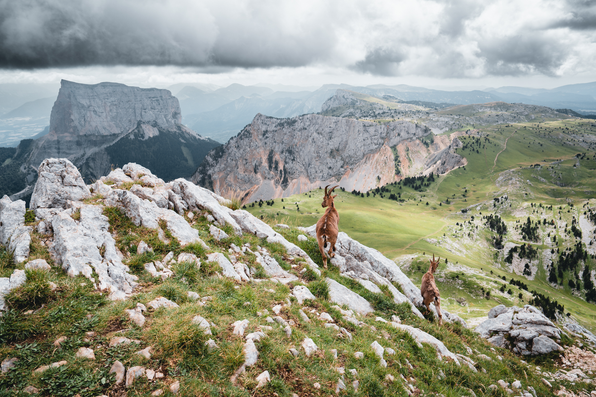 Vercors ridge landscape